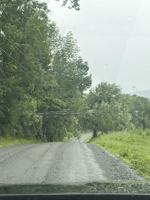 Tree down on lines in Norwich, June 18, 2026
